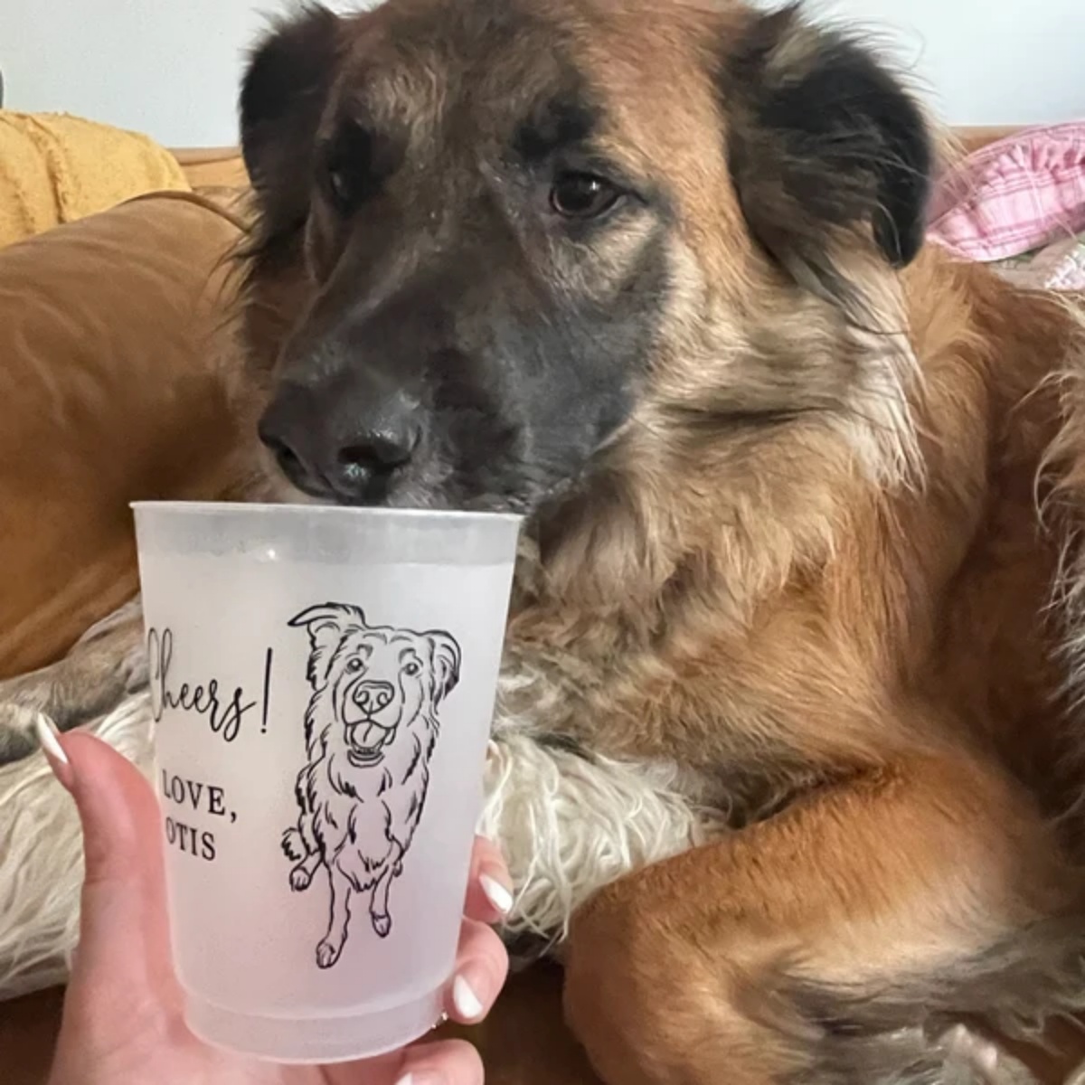 Персонализированные матовые пл – обзор и цена Plastic Cup 50Pcs